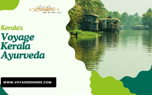 Kerala: Symphonie Tropicale entre Backwaters et Traditions Millénaires