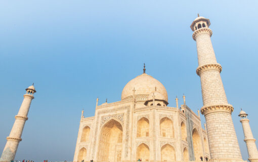 Inde Cocktail : L’Expérience Transformatrice Yoga, Taj Mahal et Wildlife